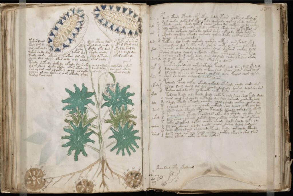 El Código Voynich: El enigma sin resolver que lleva siglos