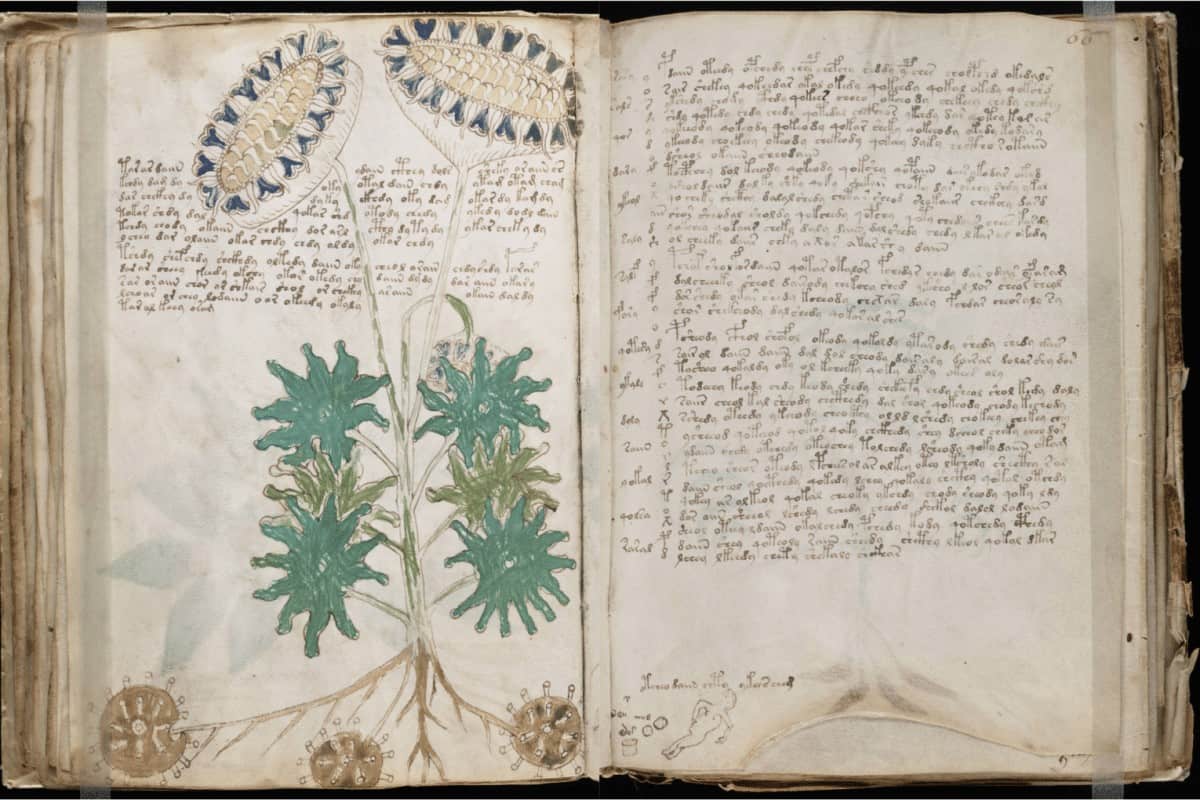 El Código Voynich: El enigma sin resolver que lleva siglos – Corprens ...