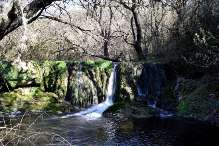 Editorial: Defendamos la Reserva Natural La Calera